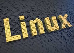 linux server monitoring 255x182